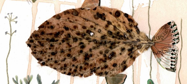 © Heidrun Boddin © Heidrun Boddin