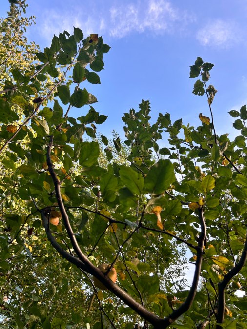 © Dagmar Heppner © Dagmar Heppner