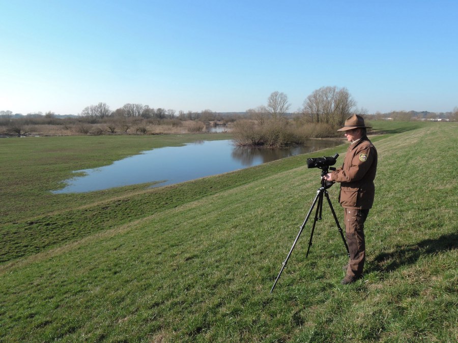 Rastvogelbeobachtung_Sude-Elbe z Ranger_I.Valentin, © Biosphärenreservatsamt