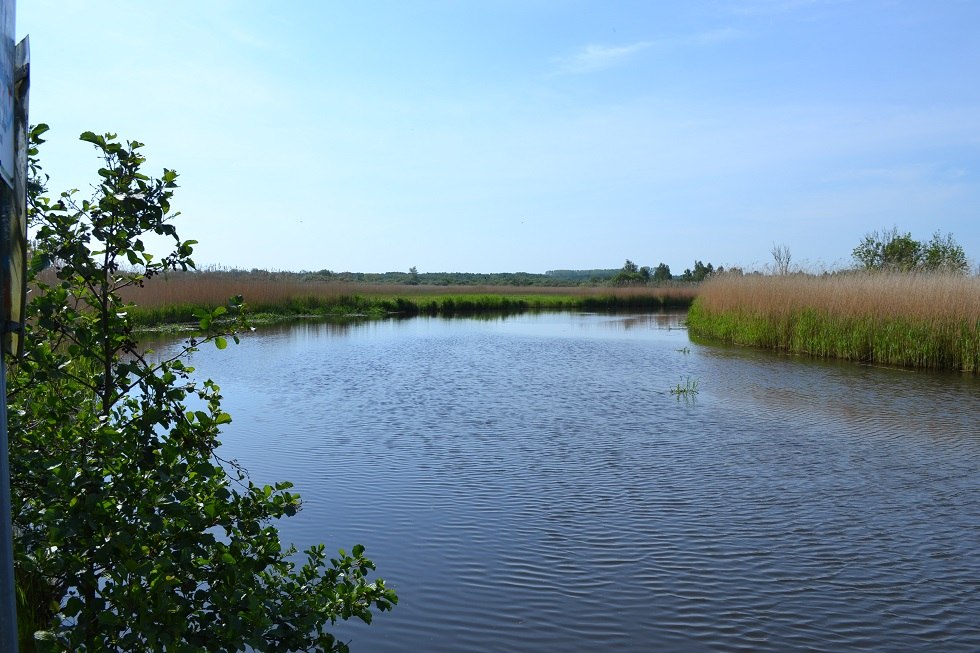 Widok na Recknitz, © Lutz Werner