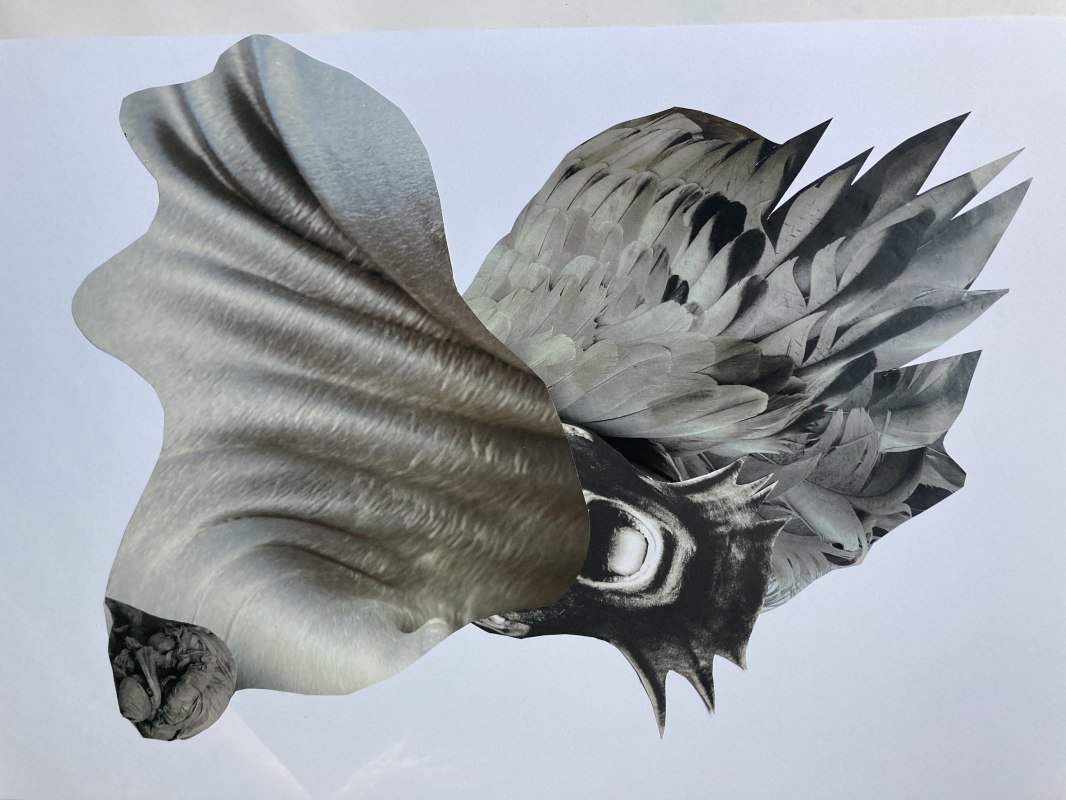 &copy; Utta Hoffmann, fraplabqq