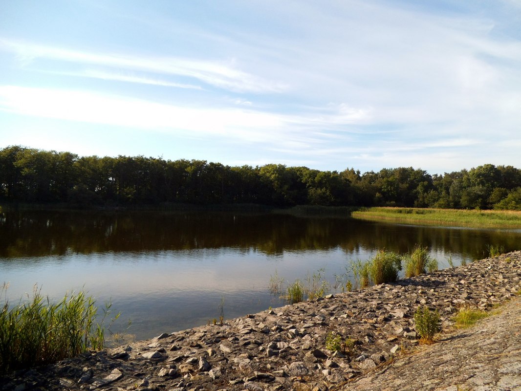 &copy; Heike Seelenbinder