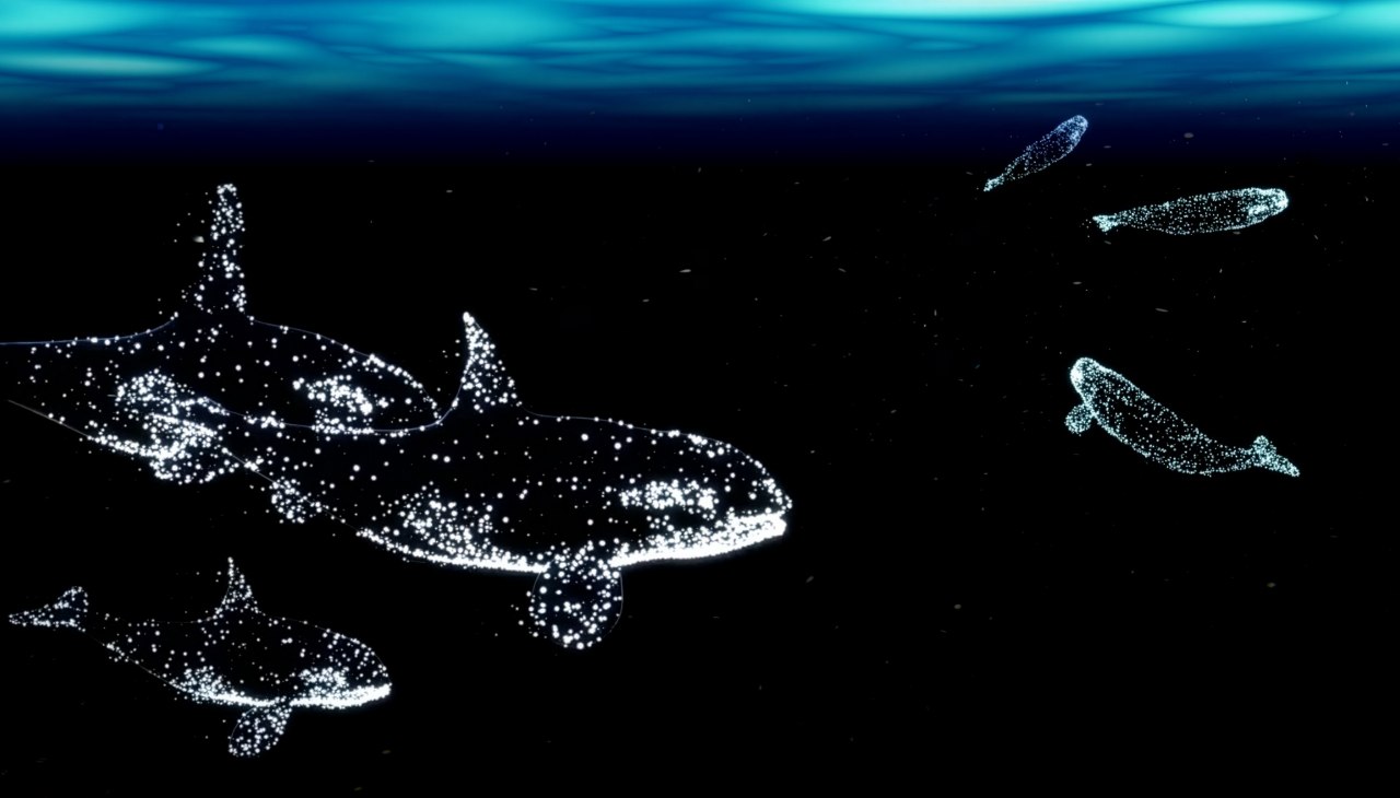 © halbautomaten/Deutsches Meeresmuseum