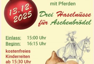 © Pferdeland Reez © Pferdeland Reez