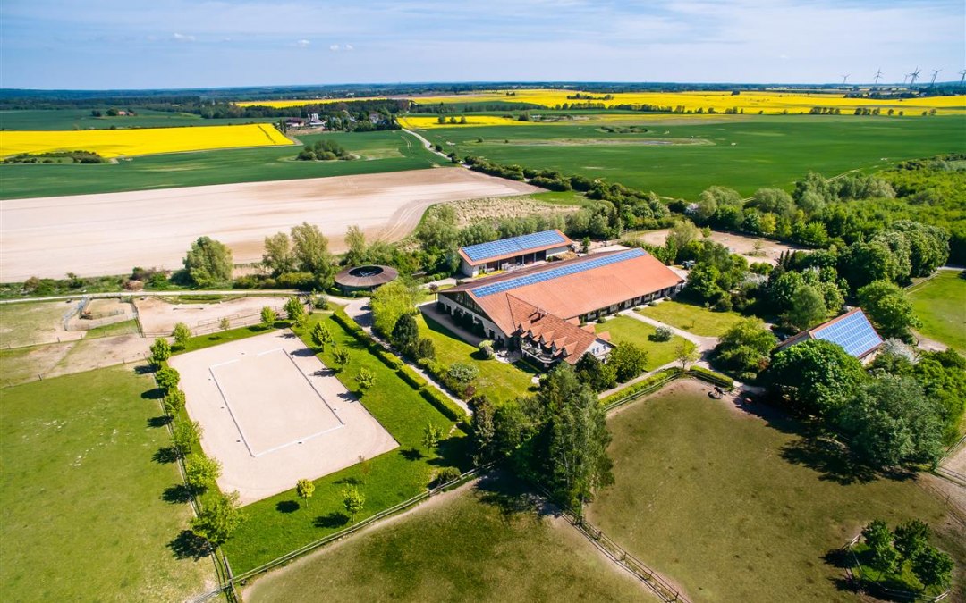 Peeneland boerderij, © Bombis