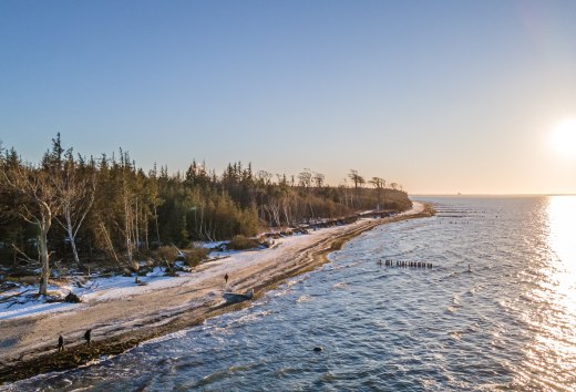Winterrust op het strand van Torfbrücke: Besneeuwde bossen, glinsterende golven van de Oostzee en een schilderachtig kustlandschap nodigen uit tot een wandeling., © TMV/Scholz-Witzel Winterstrand bij Torfbrücke Graal-Müritz met besneeuwde bomen, glinsterende Baltische Zee en een zonsondergang aan de horizon.