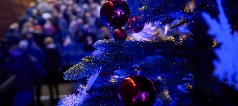 © Mirco Dalchow © Mirco Dalchow