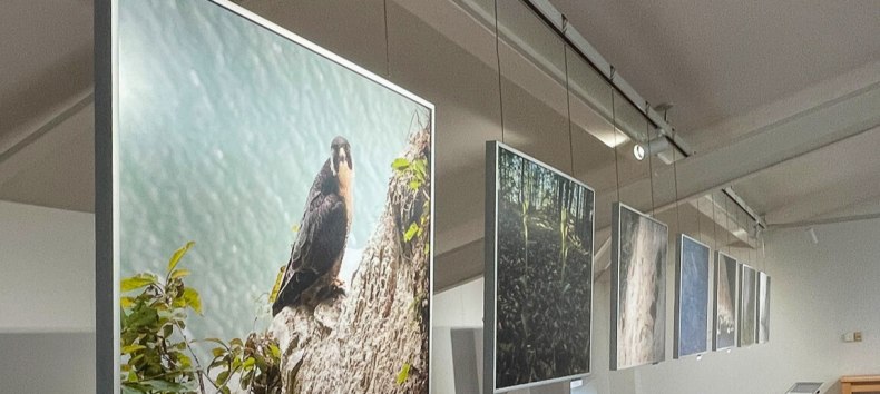 © Nationalpark-Zentrum KÖNIGSSTUHL © Nationalpark-Zentrum KÖNIGSSTUHL