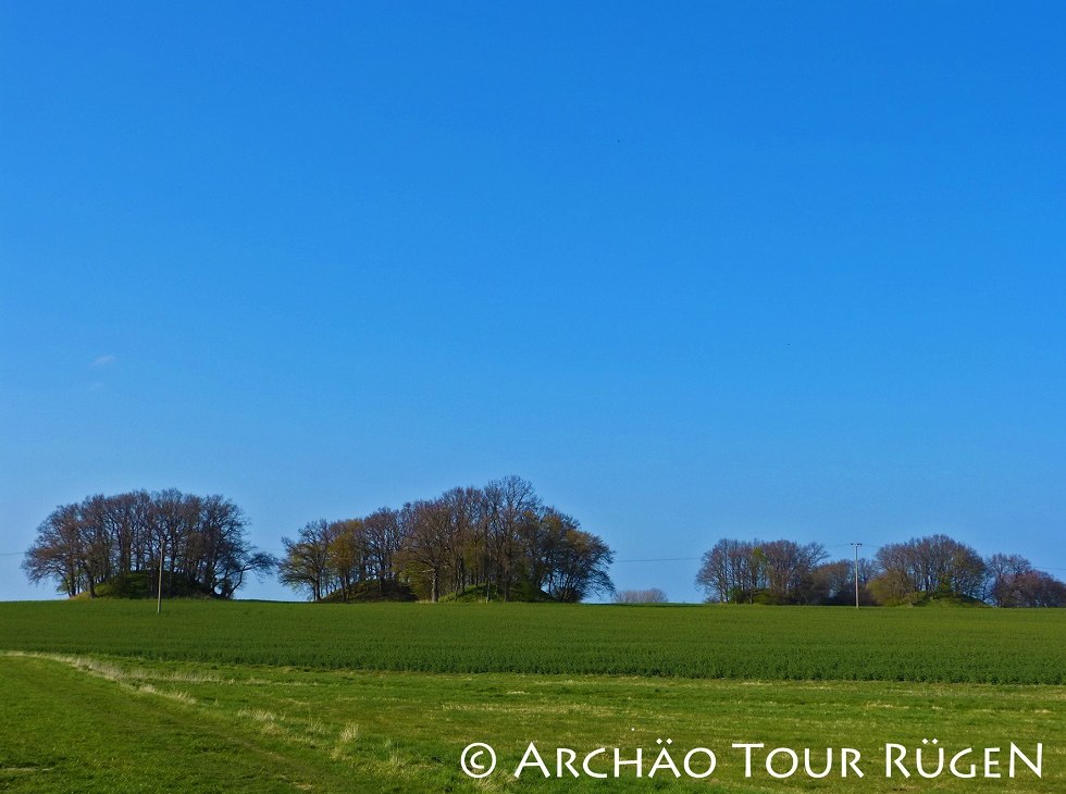 Widok na kopce grobowe "Woorker Berge", © Archäo Tour Rügen