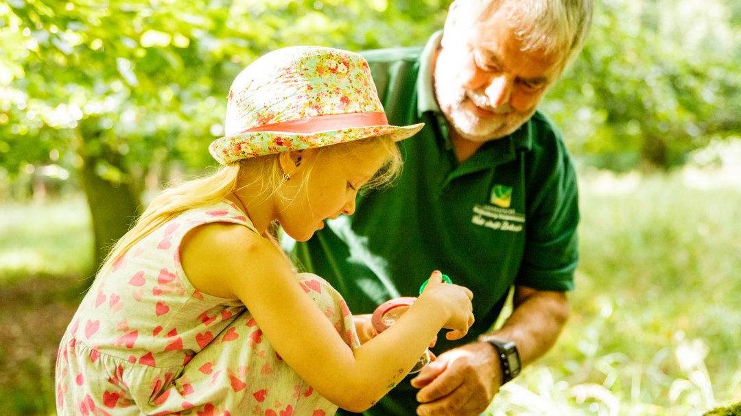 waldpaedagogik, © Landesforst MV