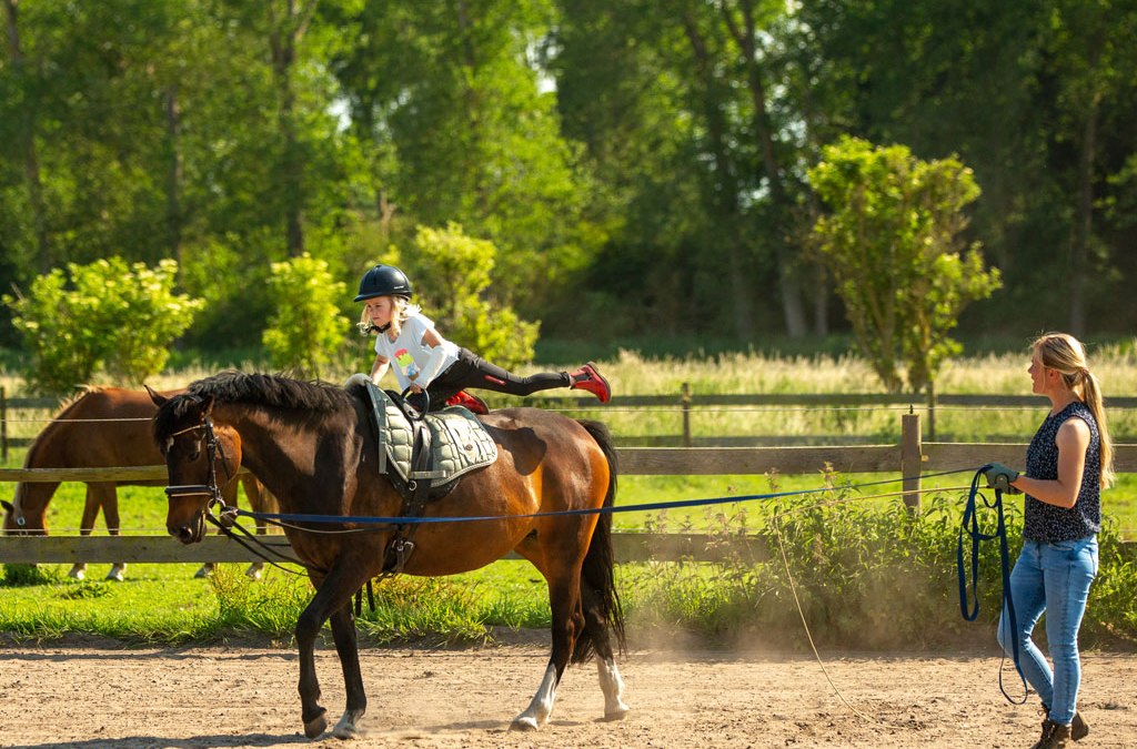 Volticamp voor kinderen van 5-10 jaar. Vakantie-aanbieding van maandag-vrijdag 9-12 uur., © Fotografie Ulrike Pawandenat