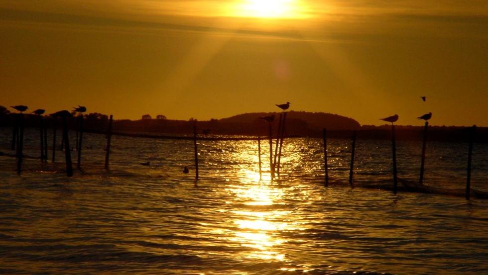 Uitzicht op het Achterwasser in de avond, © Natur Camping Usedom