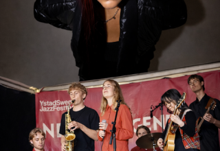 &copy; Foto: Erla Ziska (jazzygold), Foto: Anna Rylander (Wonders of Stevie)