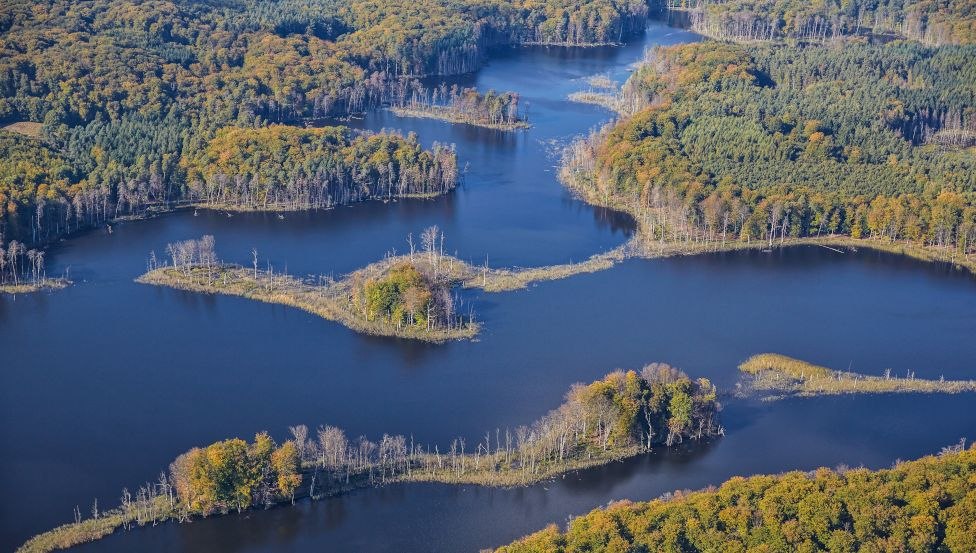 Het uitzicht over de Schweingartensee toont de diversiteit en dynamiek van de habitats in het Nationaal Park Müritz // © MV-T/Grundner Het uitzicht over de Schweingartensee toont de diversiteit en dynamiek van de habitats in het Nationaal Park Müritz // © MV-T/Grundner