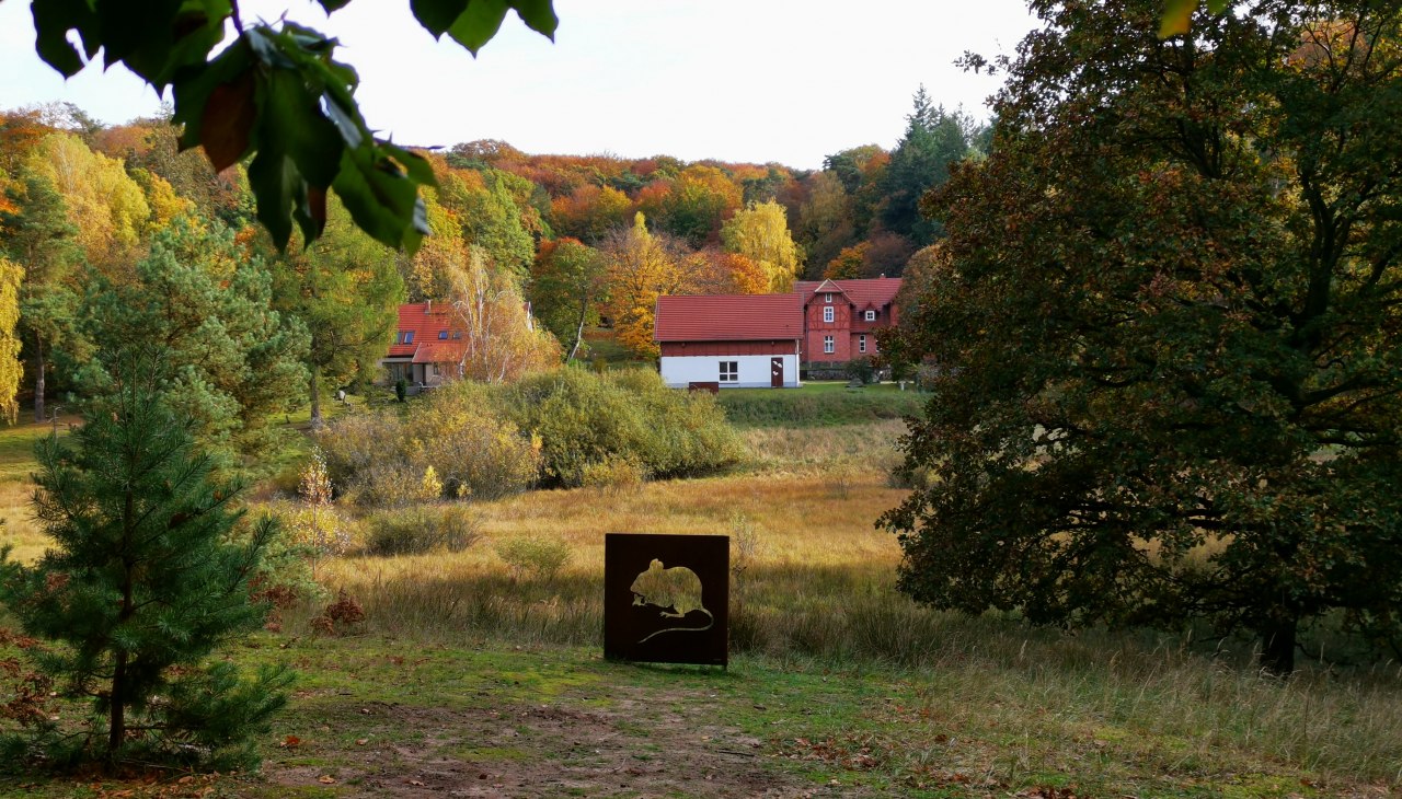 Serrahn_Doebbert, &copy; Wiebke D&ouml;bbert