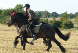 Rijd door het prachtige platteland, © Ponyhof Rügen