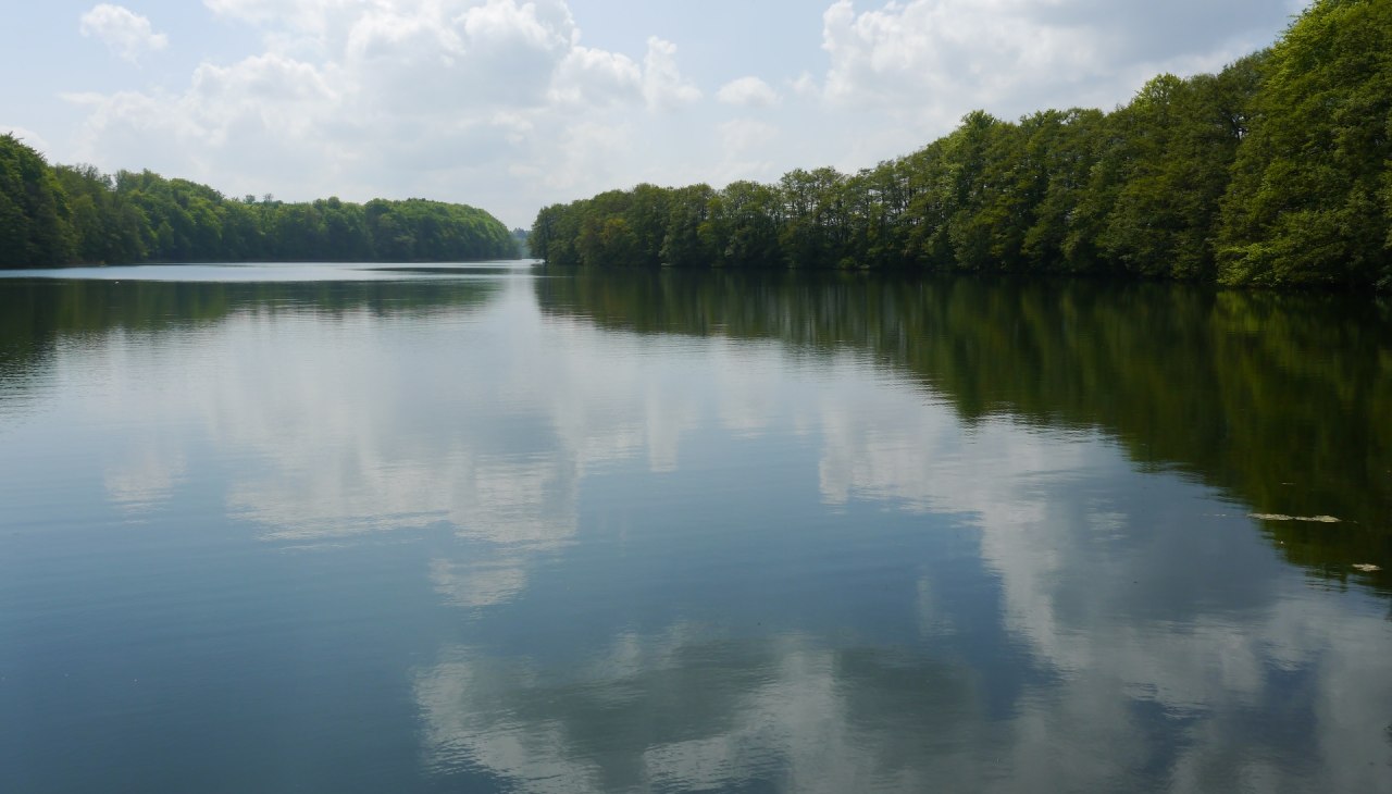 View from the bathing place Dolgen in the direction of Koldenhof, © Andreas Stief