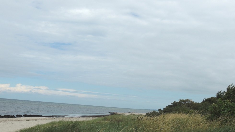 Widok na naturalną plażę // &copy; Kurverwaltung Insel Poel