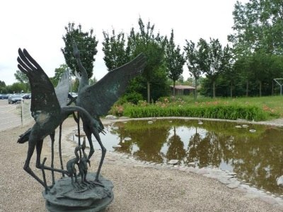 Ogród różany z żurawiem, © Waren (Müritz)-Information