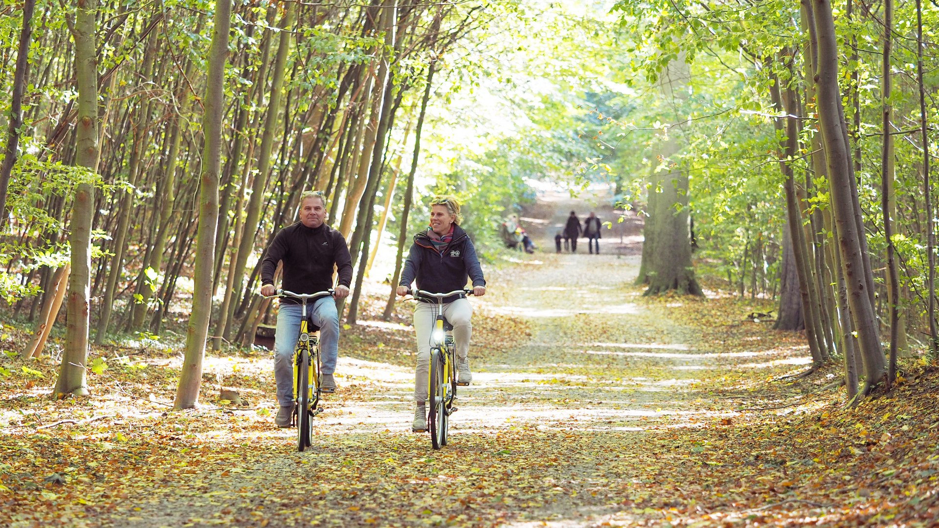 Two people cycling on the coastal cycle path in Zempin through a forest with autumn leaves.