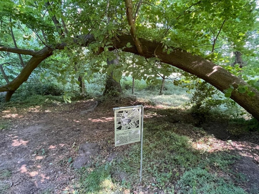 IMG_3624, &copy; TZ S&uuml;dliche Boddenk&uuml;ste