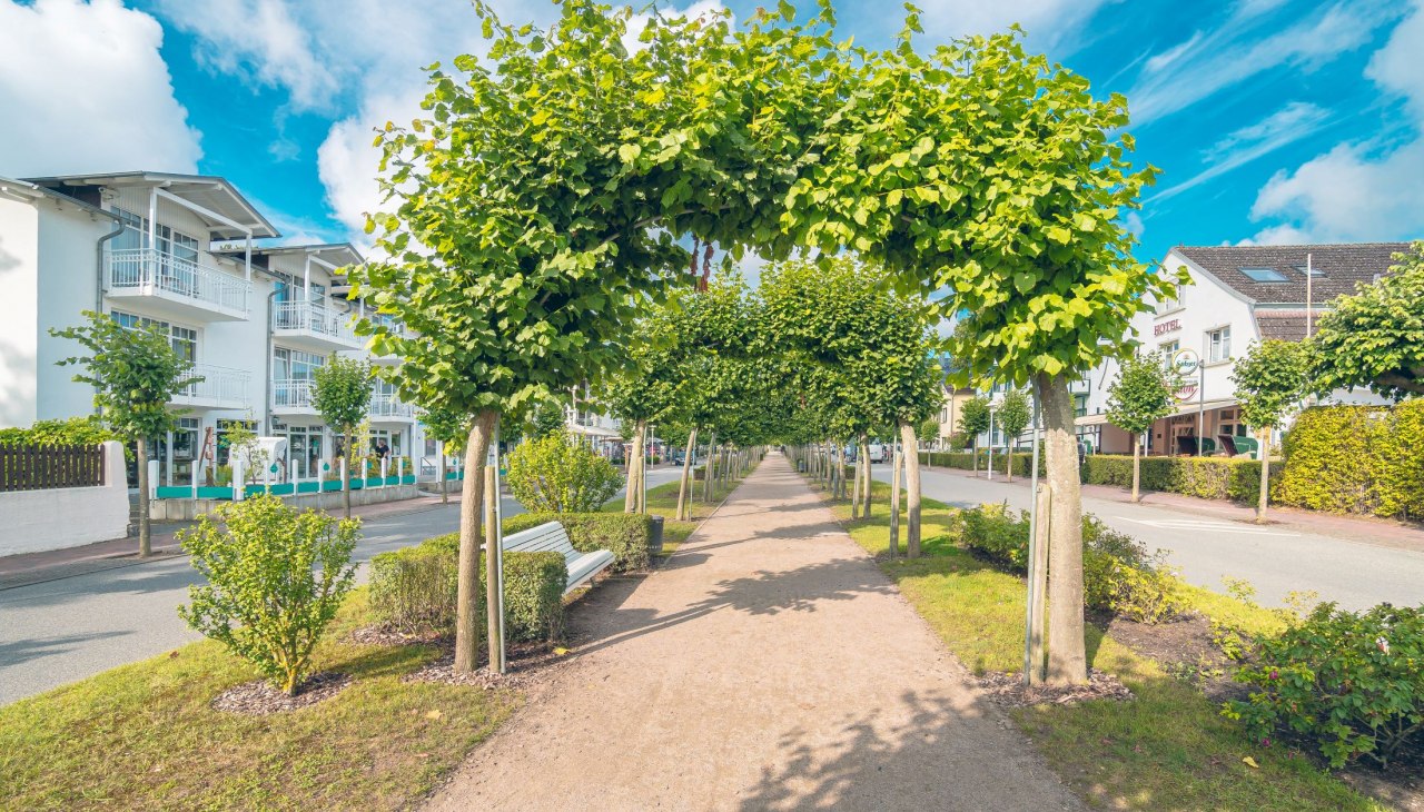 Historyczna wycieczka z przewodnikiem (Neu-Baabe), © Kurverwaltung Ostseebad Baabe