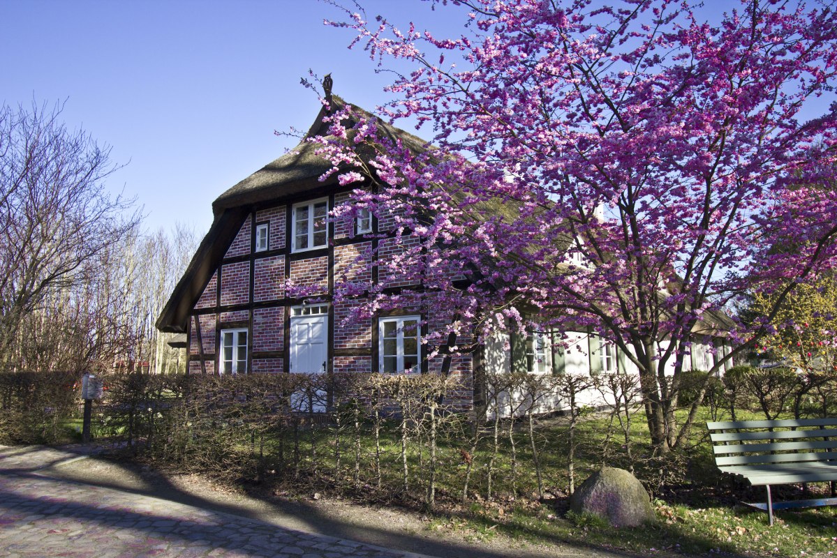 Domek w stylu dworkowym, wakacje pod strzechą // &copy; Rittergut Streu