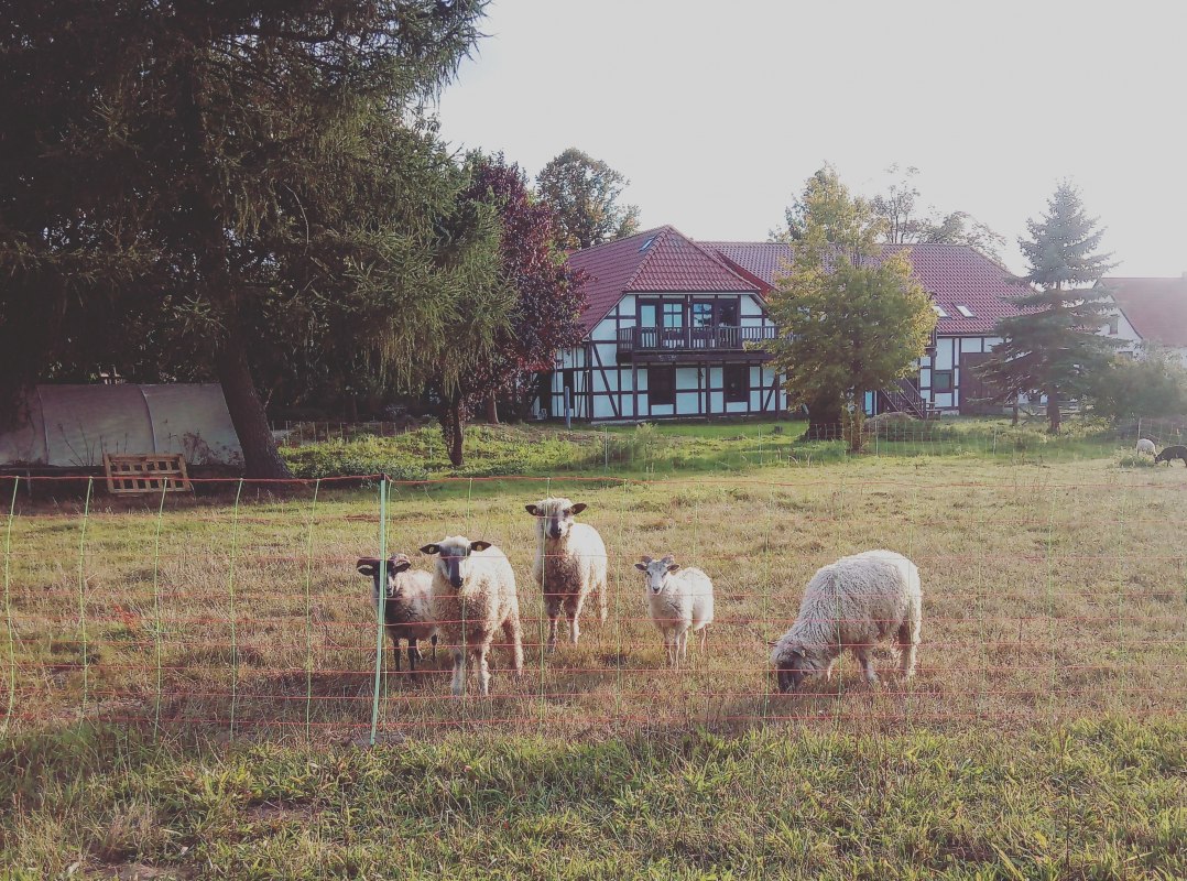 img_20180913_201226_043-kopie, &copy; Foto: Jaeschke