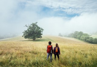 Hiking on the nature park trail through the landscape of the Mecklenburg Lake District at R&ouml;telberg // &copy; MV-T/G&auml;nsicke