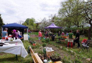 &copy; Heimatverein Demmin