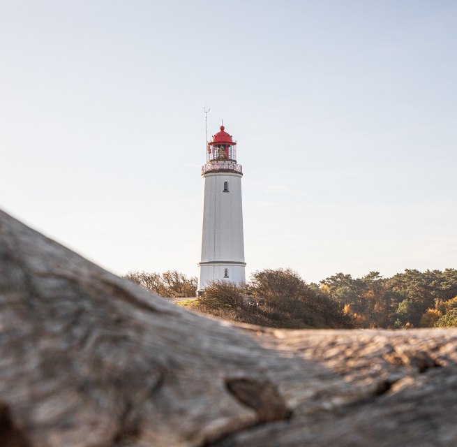 © Weiße Flotte GmbH © Weiße Flotte GmbH