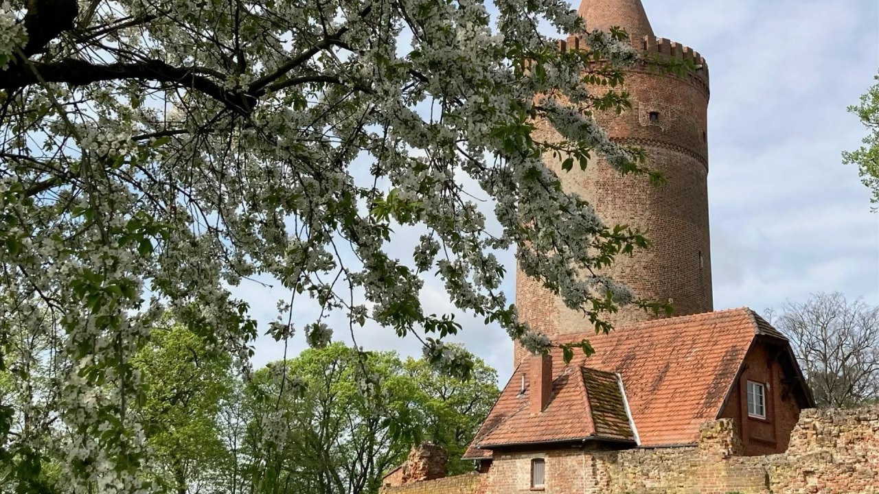 &copy; Andrea Kr&uuml;ger