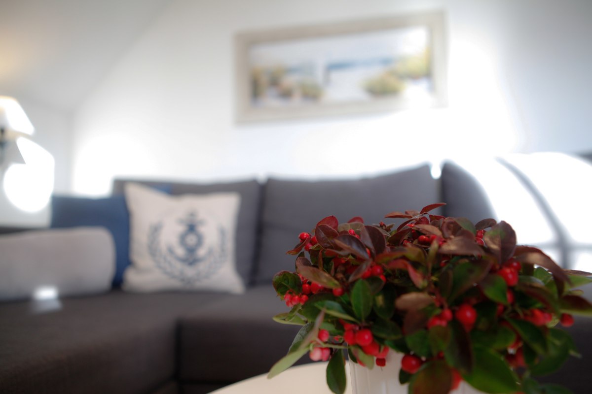 © Captain Pahlen Ferienanlage © Captain Pahlen Ferienanlage