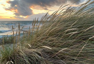 &copy; Nationalparkamt Vorpommern/ K.B&auml;rwald