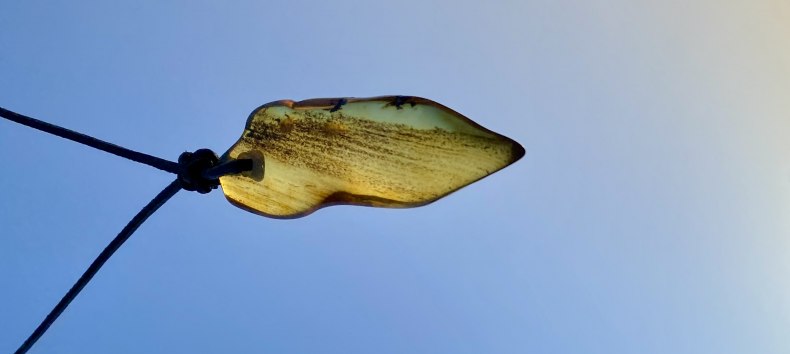 © Bernstein © Bernstein