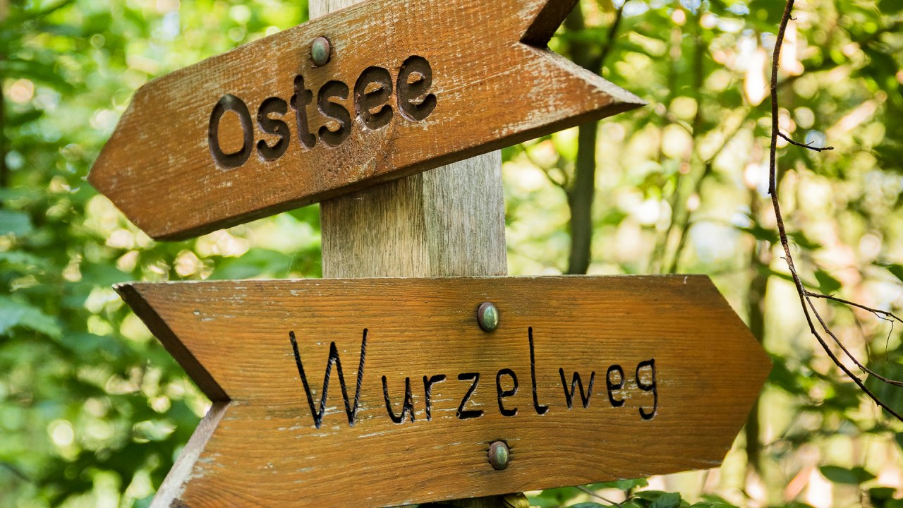 Puur natuur, &copy; Andr&eacute; Pristaff / Tourismus- und Kur GmbH Graal-M&uuml;ritz