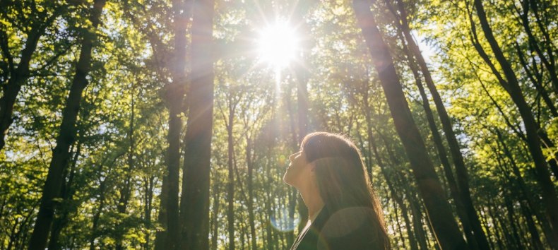 © Binzer Bucht Tourismus