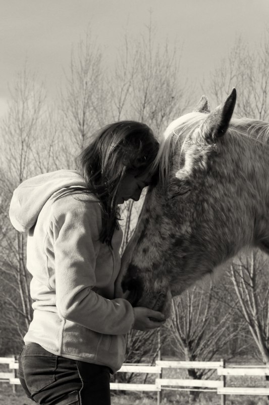 Framika Ranch, © Dirk Sandner Framika Ranch, © Dirk Sandner