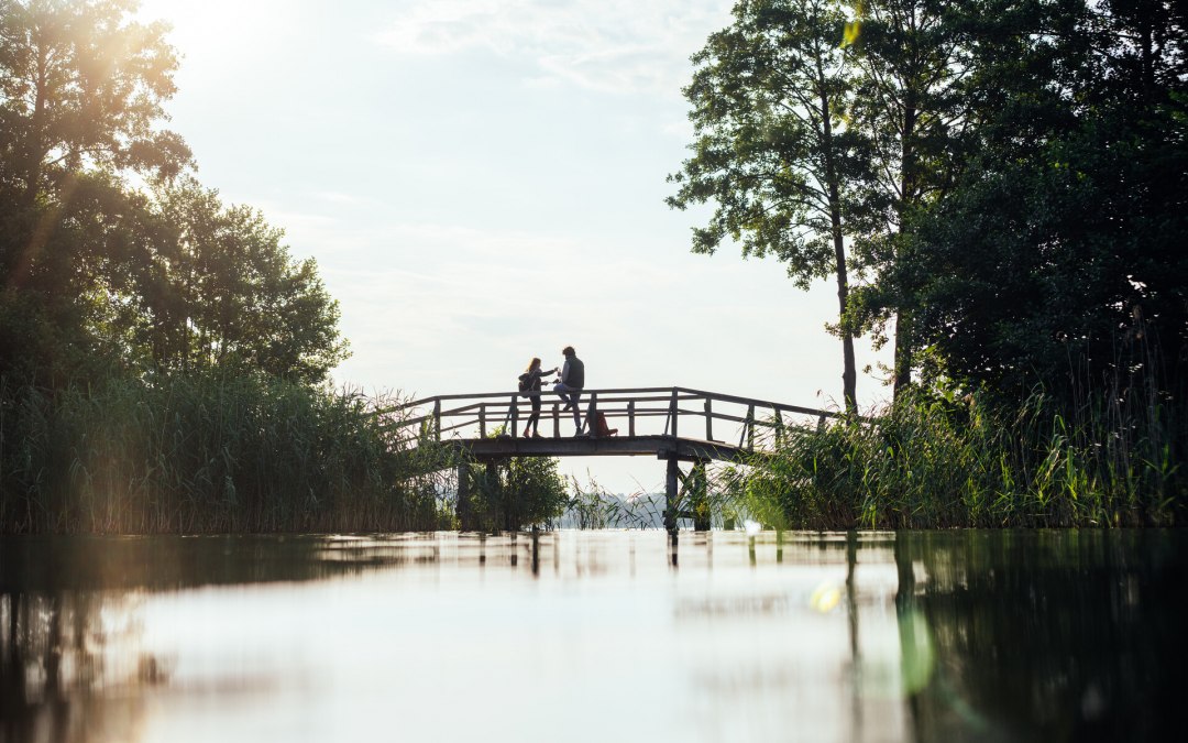 Wandelen in het Biosfeerreservaat Schaalsee bij zonsopgang // © MV-T/Gänsicke Wandelen in het Biosfeerreservaat Schaalsee bij zonsopgang // © MV-T/Gänsicke