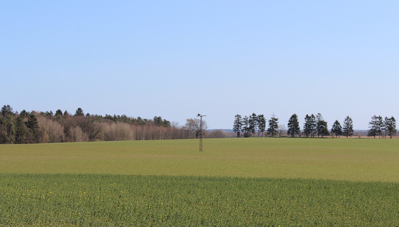 Widok na zamieszkane oczodoły, © Kur- und Tourismus GmbH Göhren-Lebbin Widok na zamieszkane oczodoły, © Kur- und Tourismus GmbH Göhren-Lebbin