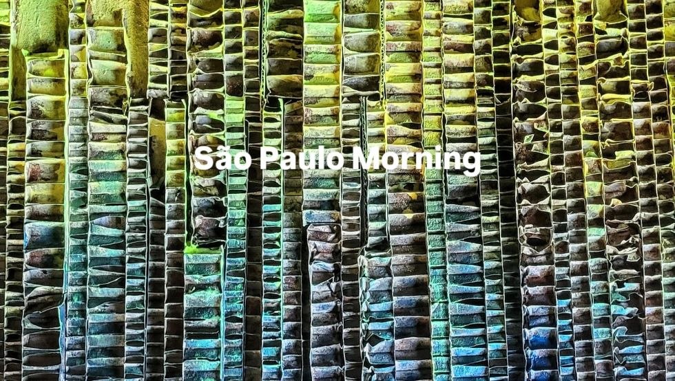 &copy; Ramona Ponomarew-John