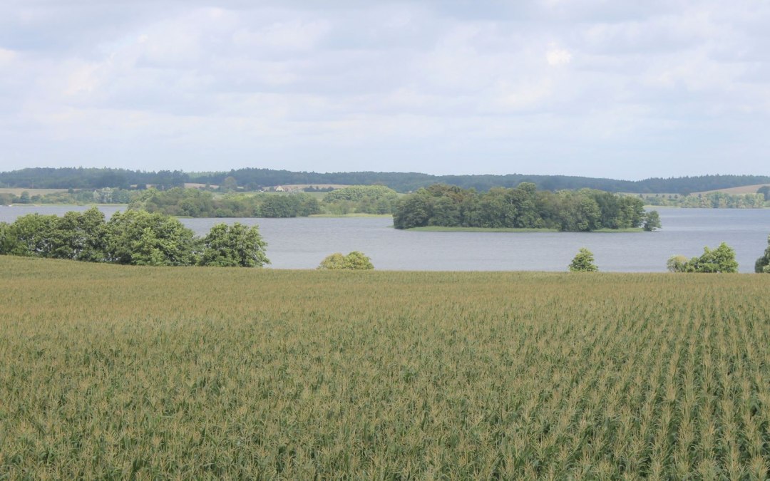 Wspaniałe widoki na wyspy i półwyspy Pojezierza Krakowskiego, © Touristinformation Krakow am See
