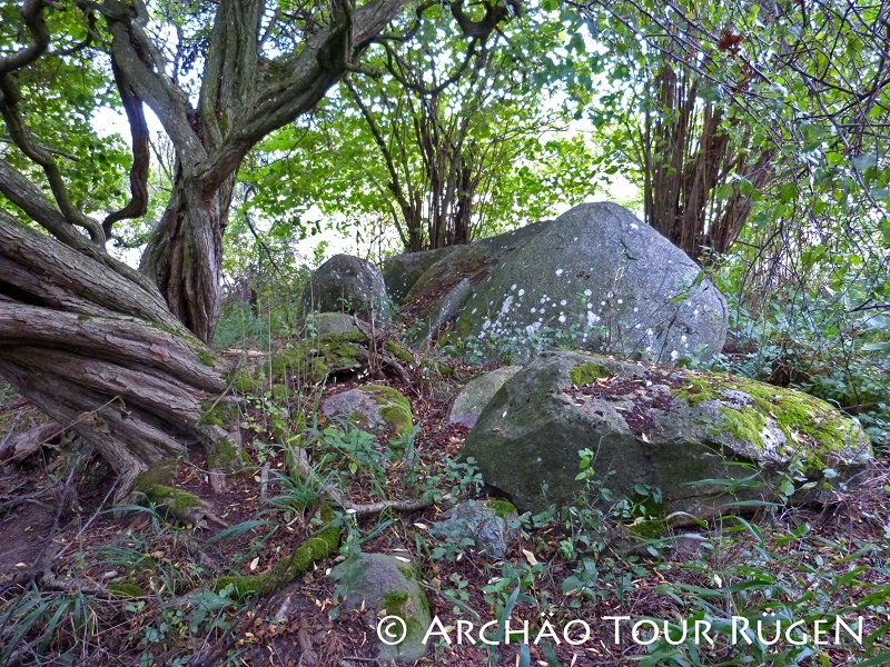 Verborgen in de struiken liggen de overblijfselen van de megalithische graftombe "Teetsbusch"., © Archäo Tour Rügen