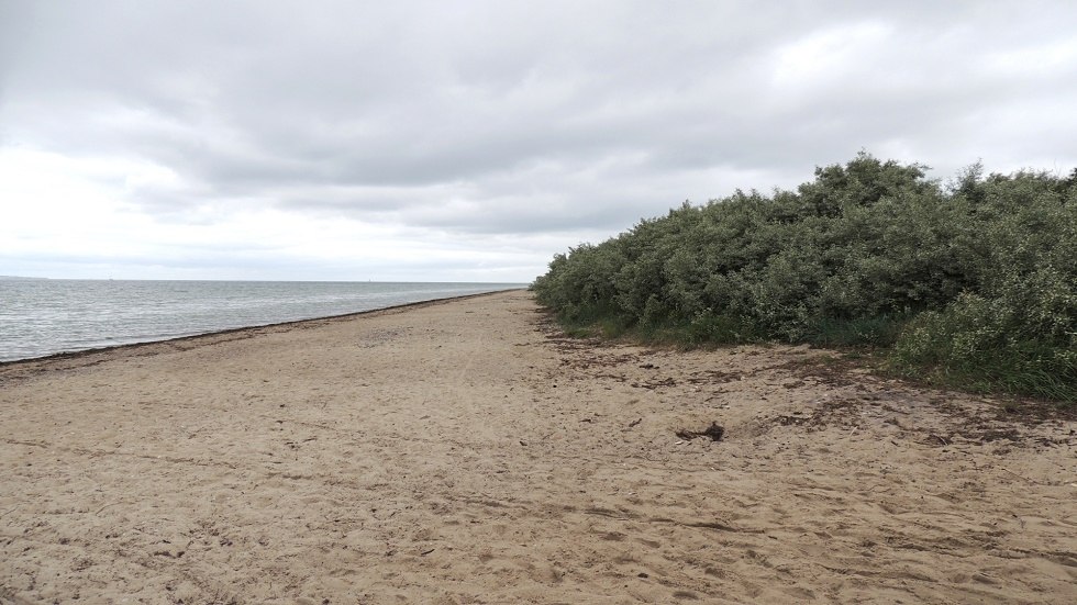 Uitzicht op het strand, © Kurverwaltung Insel Poel