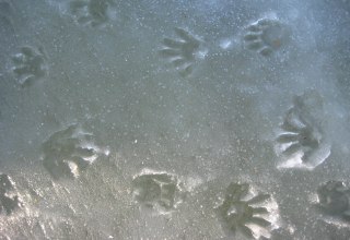 © Ulrich Meßner © Ulrich Meßner