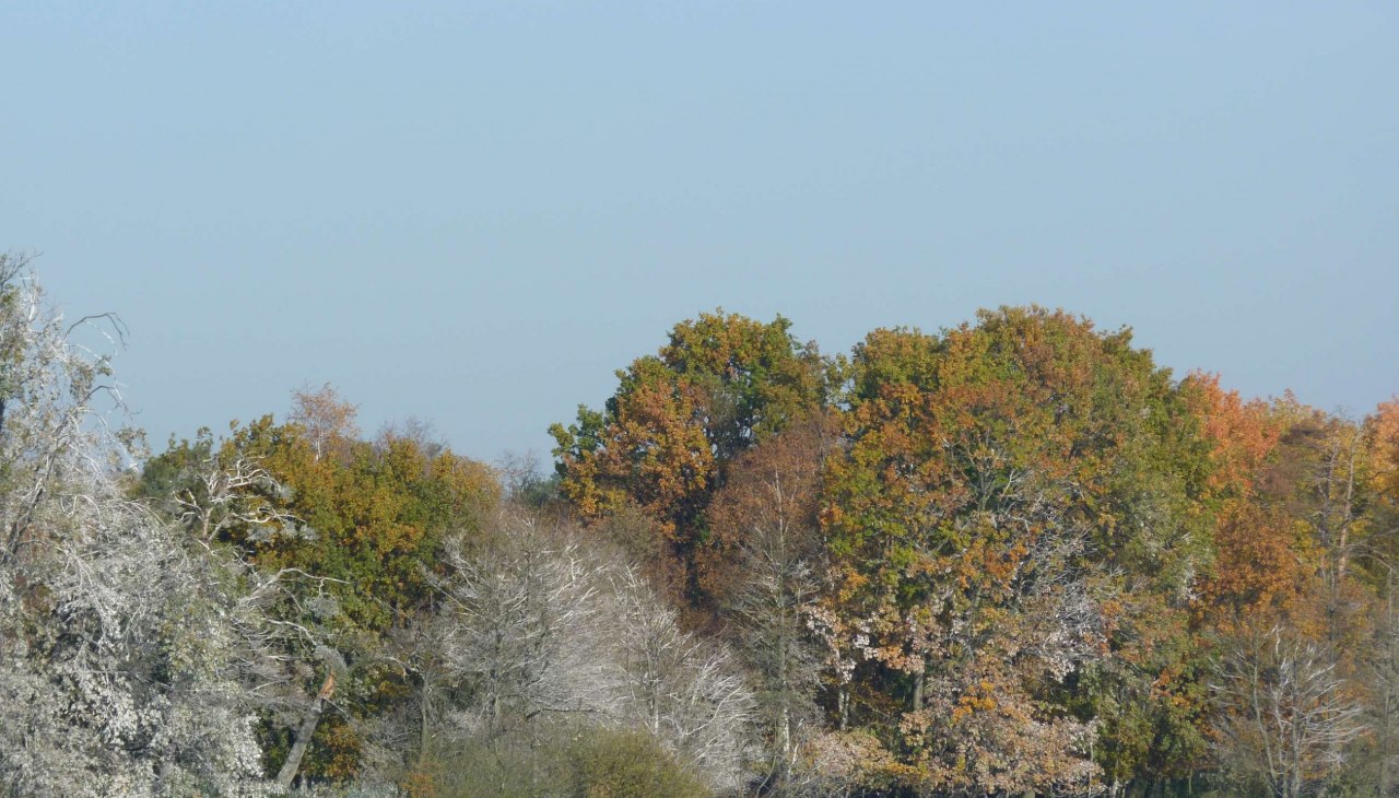 P1060361, &copy; Waren (M&uuml;ritz) Kur-und Tourismus GmbH