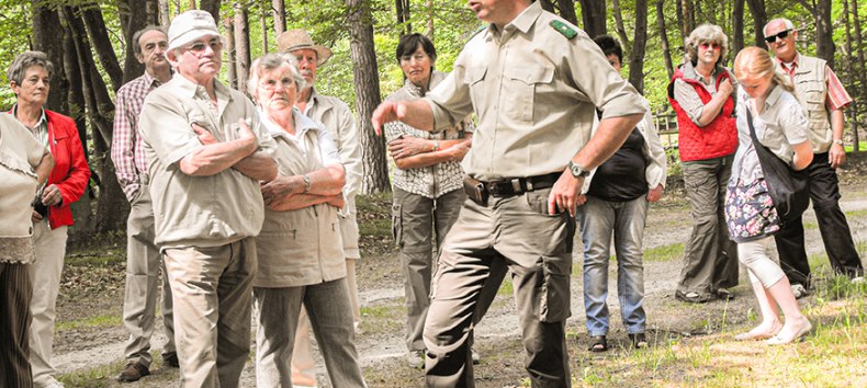© Infozentrum Wald und Moor © Infozentrum Wald und Moor