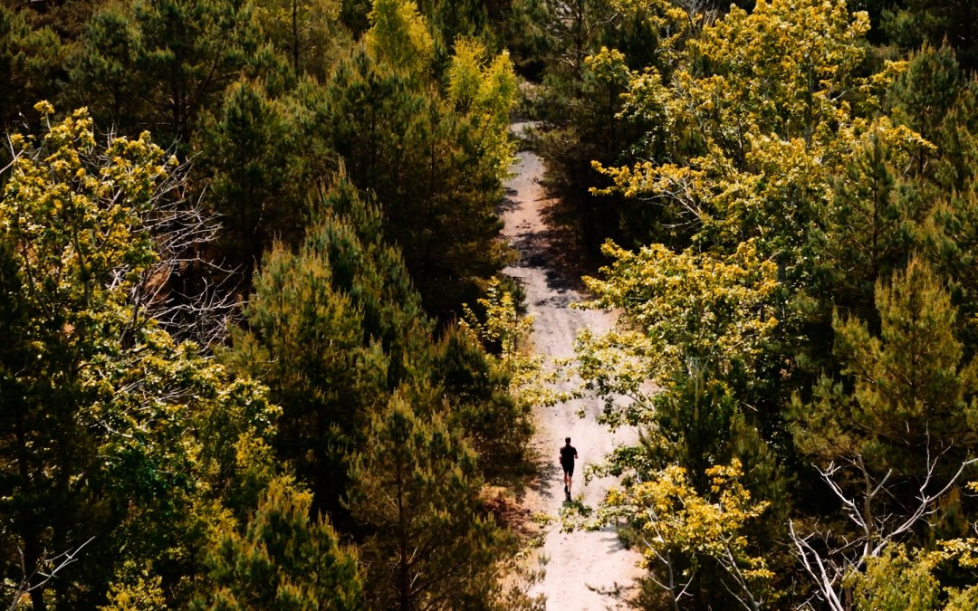 BALTIC x COAST RUN, © Binzer Bucht Tourismus