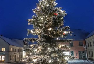 Christmas tree on the market square // © Gabriele Riech Christmas tree on the market square // © Gabriele Riech