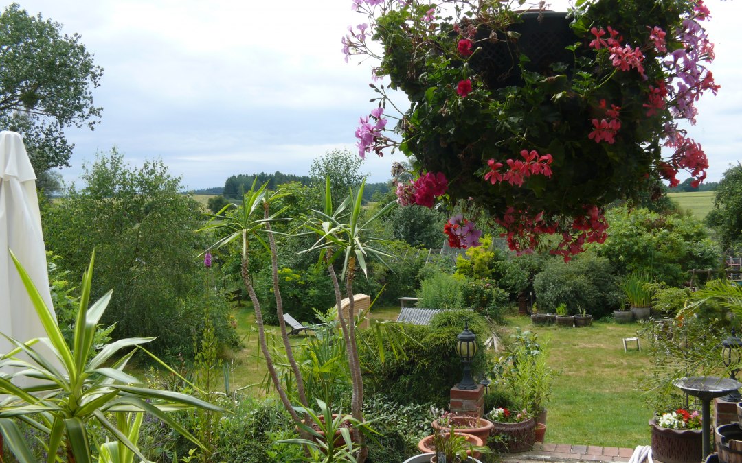 T Grundstück Blick von der Terasse 1, © Peter Ramsch